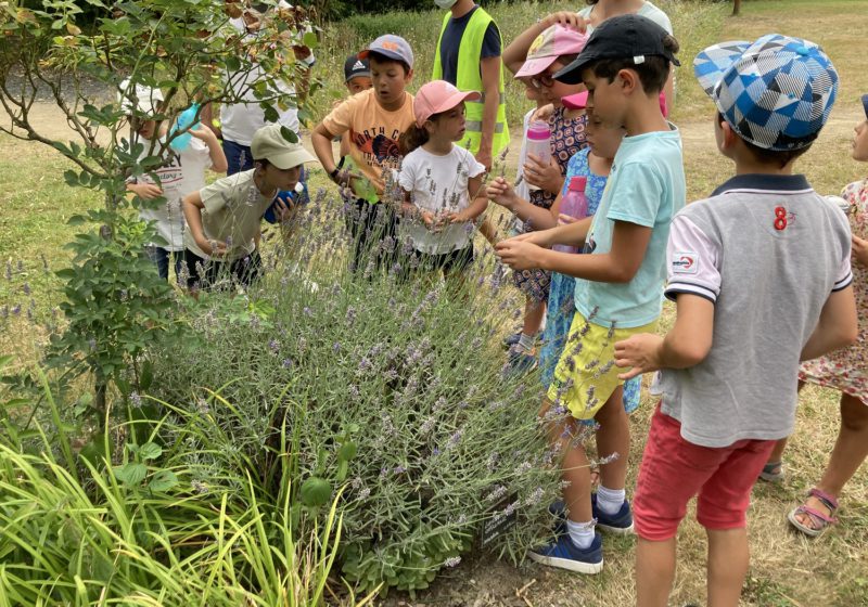 30-Papier-recycle-caploire-animation-atelier-activite-enfant-famille-montjean-sur-loire-sortie-a  - Commune de Mauges sur Loire