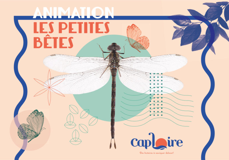 <br />
<b>Warning</b>:  Undefined variable $alt in <b>/home/clients/cbed6d26a57b02c868f3997f3054ad02/sites/caploire.fr/wp-content/themes/welko/single-animation_exposition.php</b> on line <b>180</b><br />
