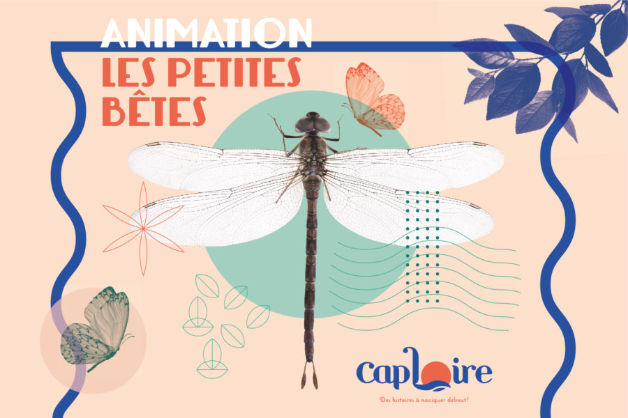 <br />
<b>Warning</b>:  Undefined variable $alt in <b>/home/clients/cbed6d26a57b02c868f3997f3054ad02/sites/caploire.fr/wp-content/themes/welko/template-gabarit-3-animations.php</b> on line <b>152</b><br />
