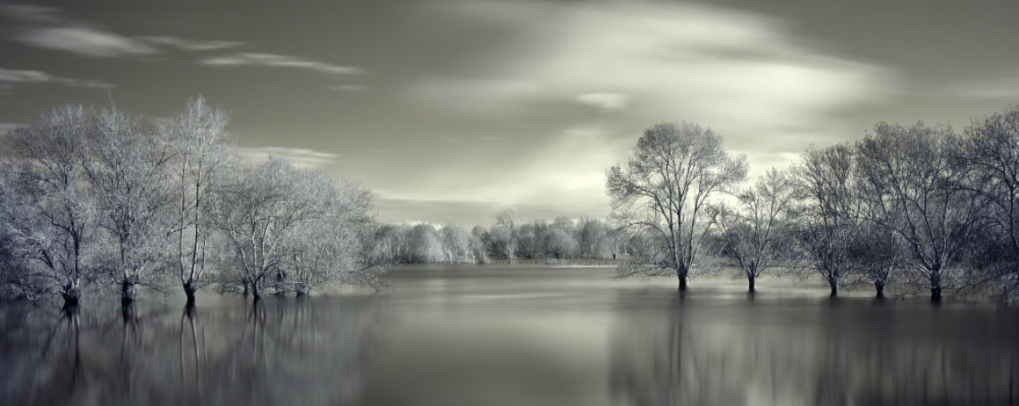 <br />
<b>Warning</b>:  Undefined variable $alt in <b>/home/clients/cbed6d26a57b02c868f3997f3054ad02/sites/caploire.fr/wp-content/themes/welko/single-animation_exposition.php</b> on line <b>29</b><br />
