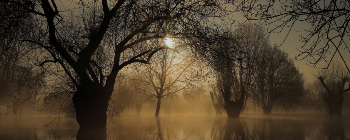 <br />
<b>Warning</b>:  Undefined variable $alt in <b>/home/clients/cbed6d26a57b02c868f3997f3054ad02/sites/caploire.fr/wp-content/themes/welko/single-animation_exposition.php</b> on line <b>29</b><br />
