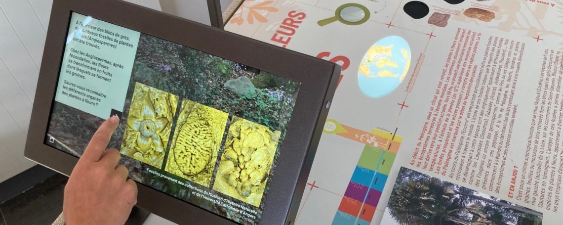 <br />
<b>Warning</b>:  Undefined variable $alt in <b>/home/clients/cbed6d26a57b02c868f3997f3054ad02/sites/caploire.fr/wp-content/themes/welko/single.php</b> on line <b>25</b><br />
