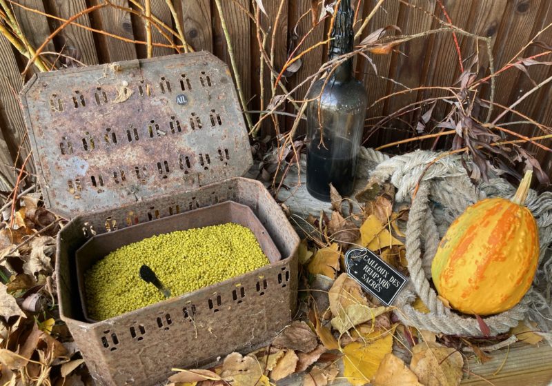 <br />
<b>Warning</b>:  Undefined variable $alt in <b>/home/clients/cbed6d26a57b02c868f3997f3054ad02/sites/caploire.fr/wp-content/themes/welko/part-bottom.php</b> on line <b>44</b><br />
