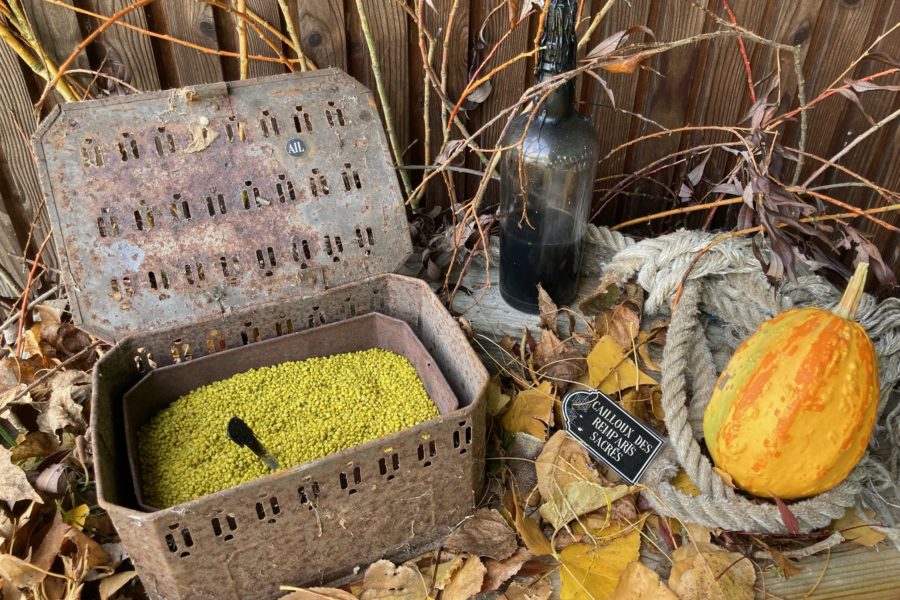 <br />
<b>Warning</b>:  Undefined variable $alt in <b>/home/clients/cbed6d26a57b02c868f3997f3054ad02/sites/caploire.fr/wp-content/themes/welko/template-actualites.php</b> on line <b>40</b><br />
