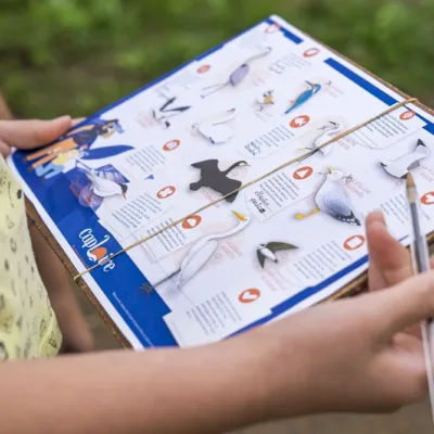 Rallye découverte spécial oiseaux de Loire, un grand jeu pour les centres de loisirs