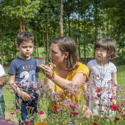 animations petites bêtes pour les scolaires